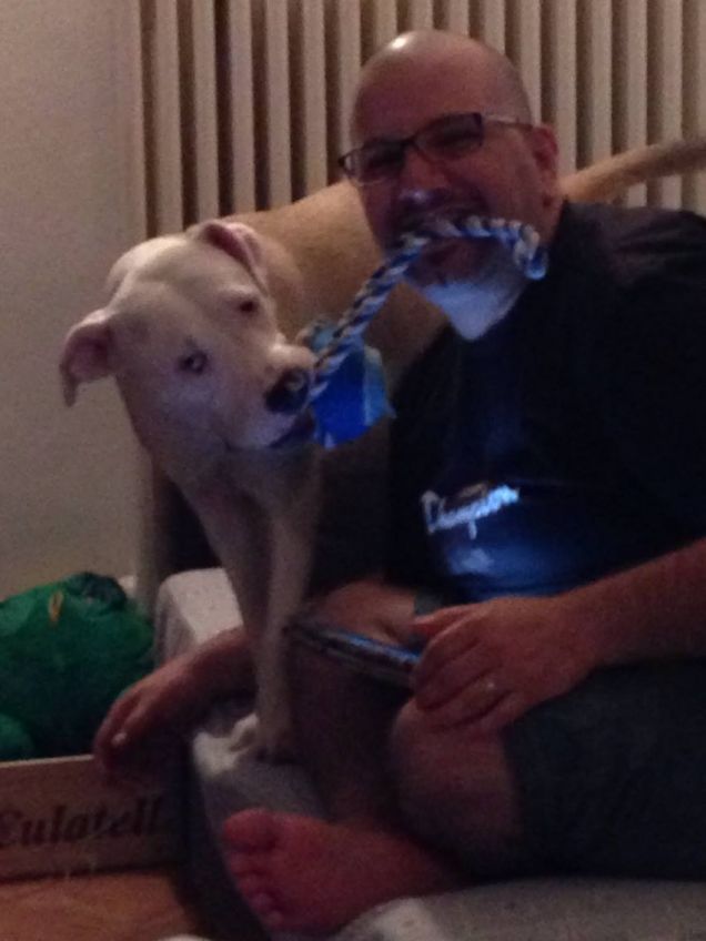 bello giocare col mio padroneeee!!!