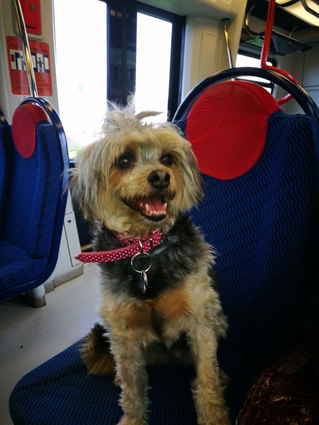 Fiamma in treno