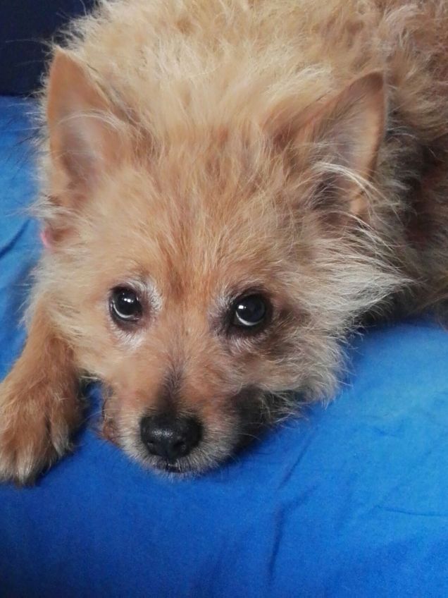 Eccomi stanca ma felice