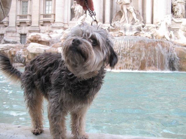Fiamma alla fontana di trevi