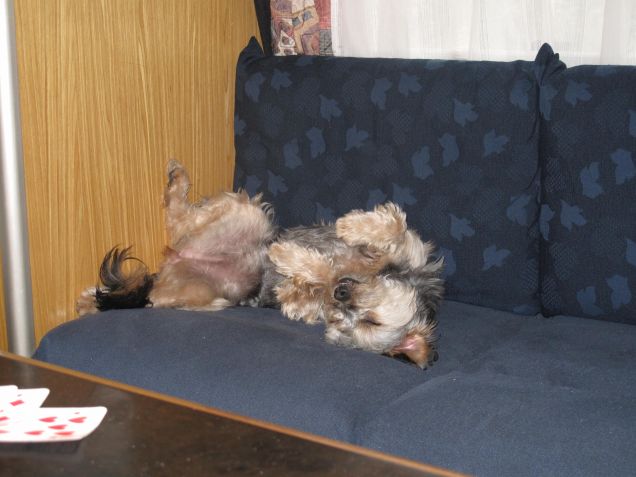 Dolce sognaarr e lasciarsi cullar....