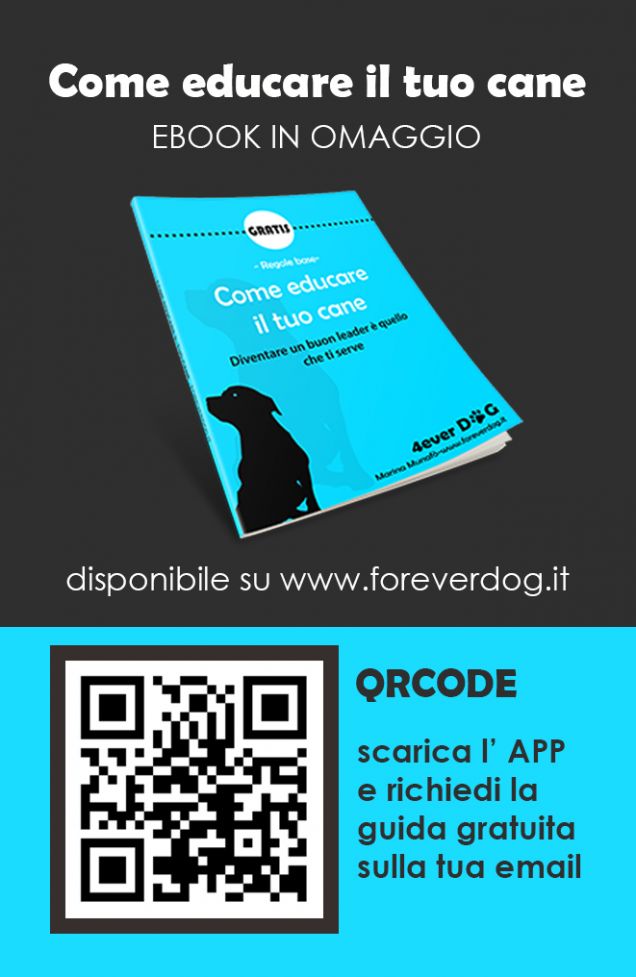 UN REGALO UTILE PER TE .....