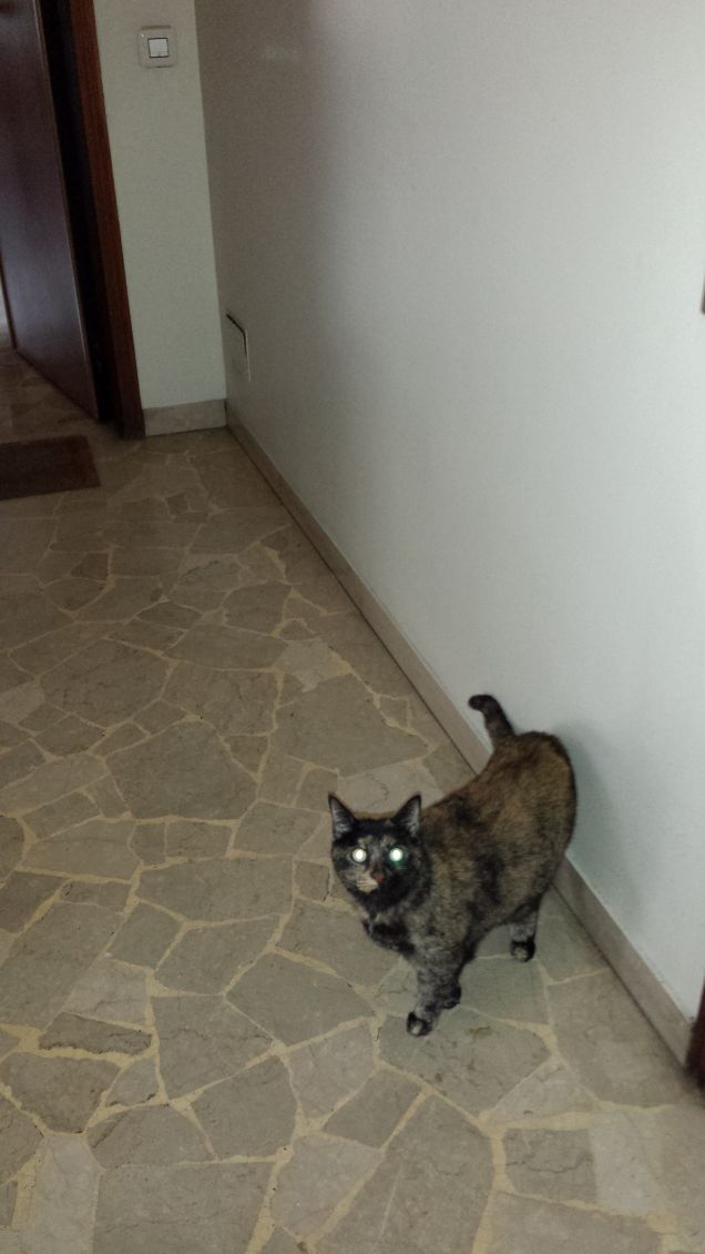 ......esplorando il pianerottolo.... ;)