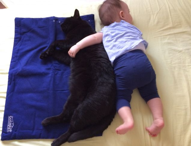 Poggie & Sofy in love con la copertina Gourmet