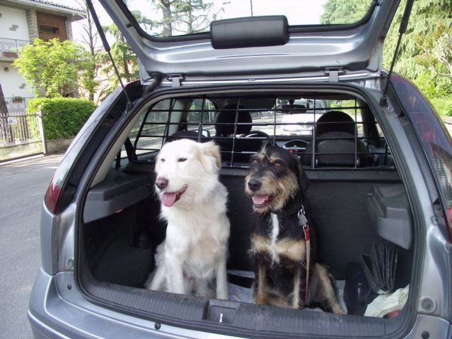 Maya e Gaia come sorelle