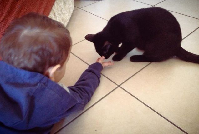 'vieni Pogghina tortellina'