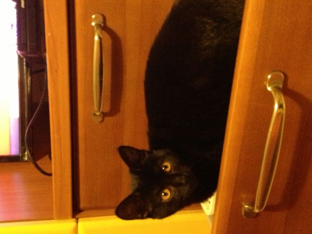 IL MIO SOGNO NEL CASSETTO