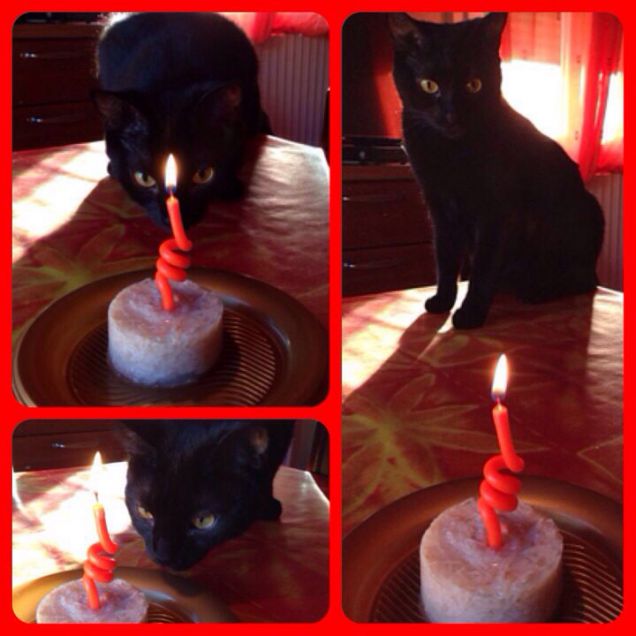 HAPPY BDAY MY LITTLE PANTHER!!! +1