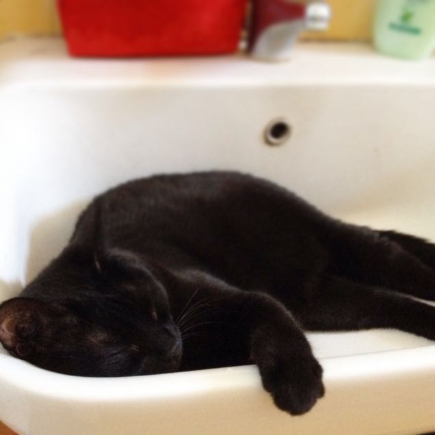 LA BELLA ADDORMENTATA NEL.... LAVANDINO!