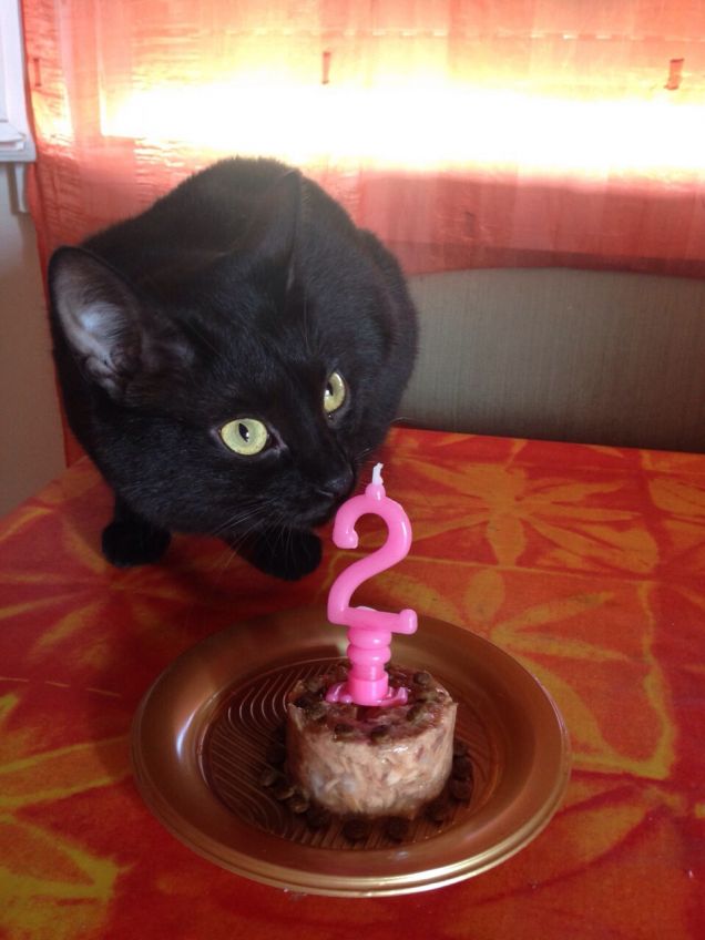 BUON COMPLEANNO POGGIE!!! 