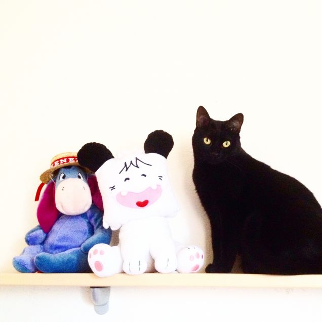 'Mi fingo peluche così non vado dalla veterinaria'