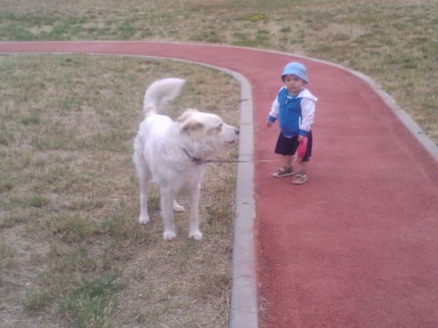 Chi porta fuori chi ??? 