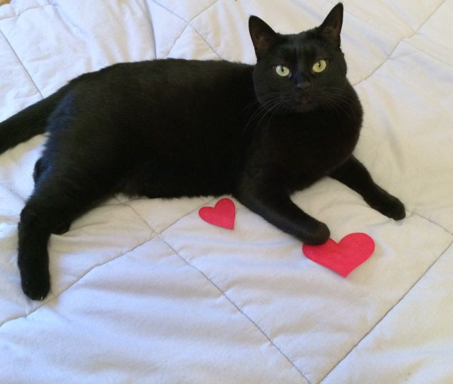 Always in love with you ❤️ Poggie