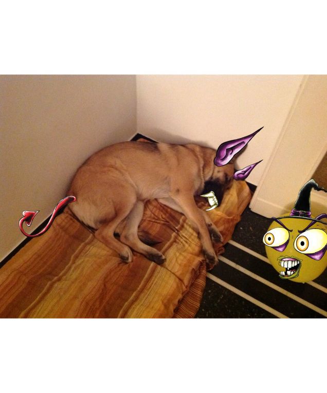 sonnellino con incubi....