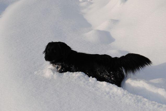 Poldo e la grande nevicata.