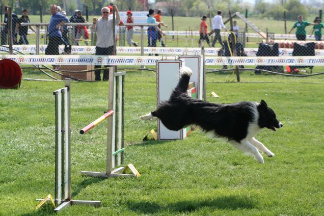 Agility