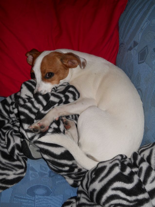 (Maya) ...adesso stanca io!!! :p 