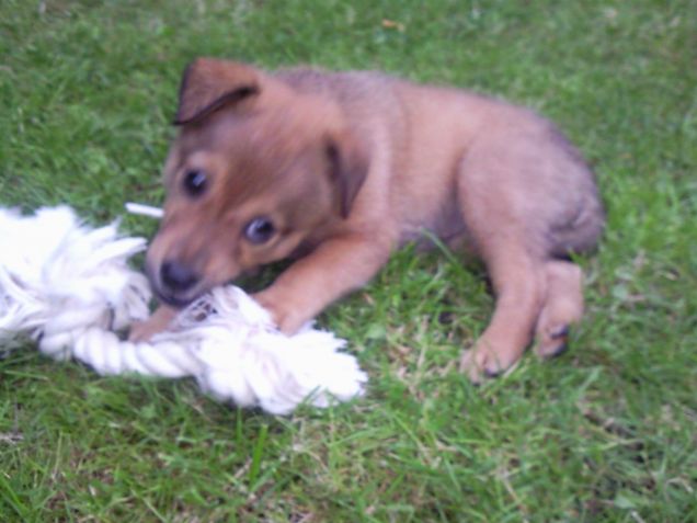 la mia piccola SASHA!! 