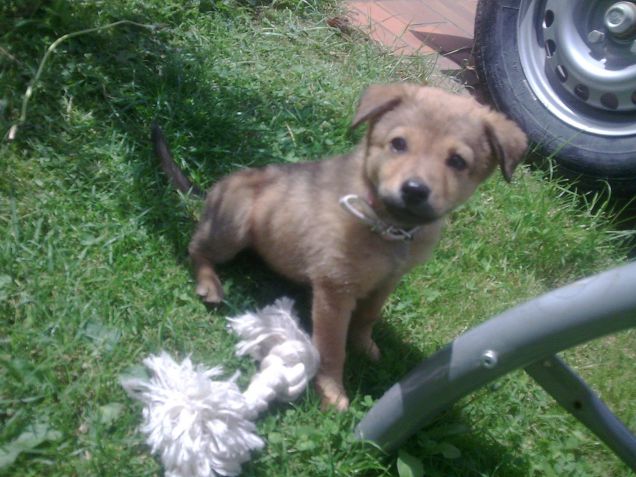 è più grande il nodo di me!!!