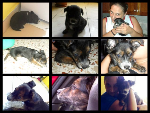 semplicemente lui... LEO 