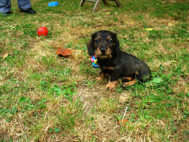 Drud della Canterana