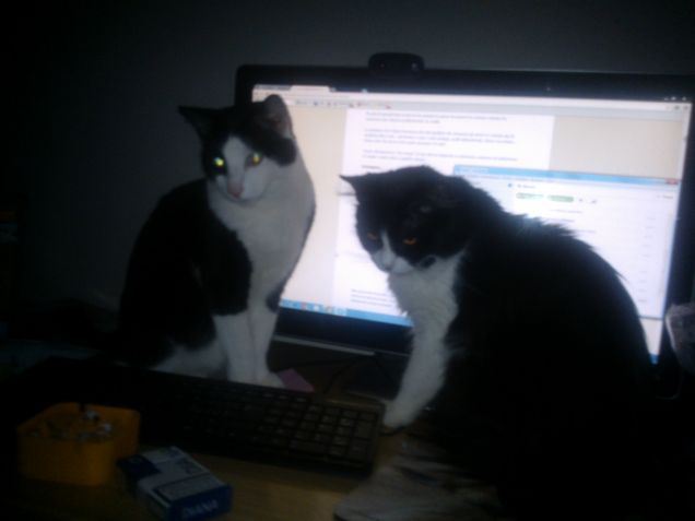 Per caso ti serve il pc??