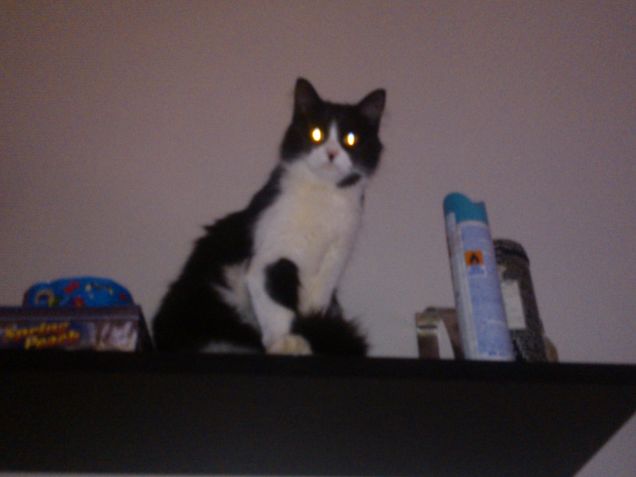 sono finta non guardarmi!