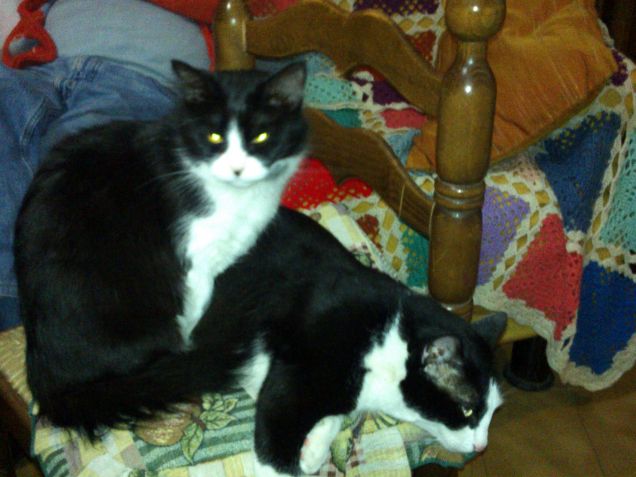 mi fai un pò di spazio??