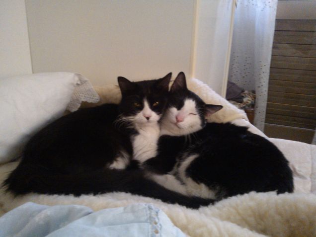 oh no ci hanno beccati...