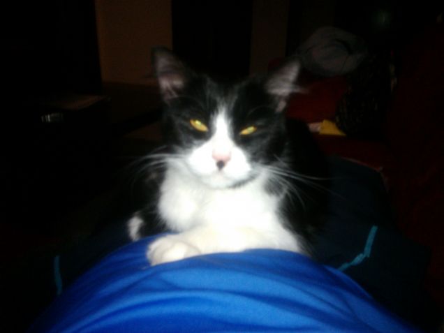 non mi disturbare sa??