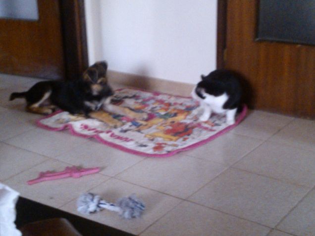 via dalla mia cuccia!!