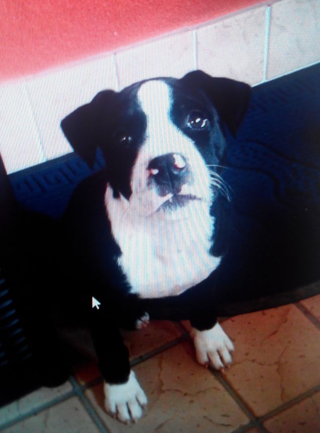 Evey e tanto amore a macchie!