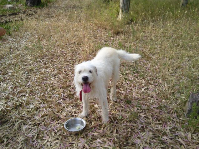 Passeggiata in campagna 