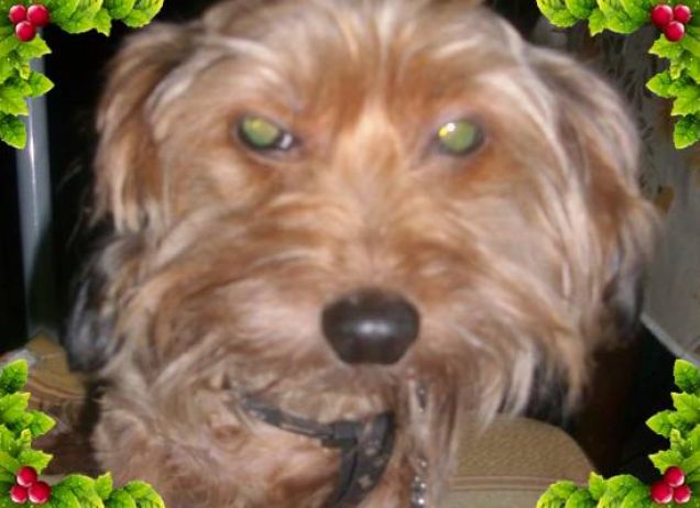 portami giù subito... ok lulù XD