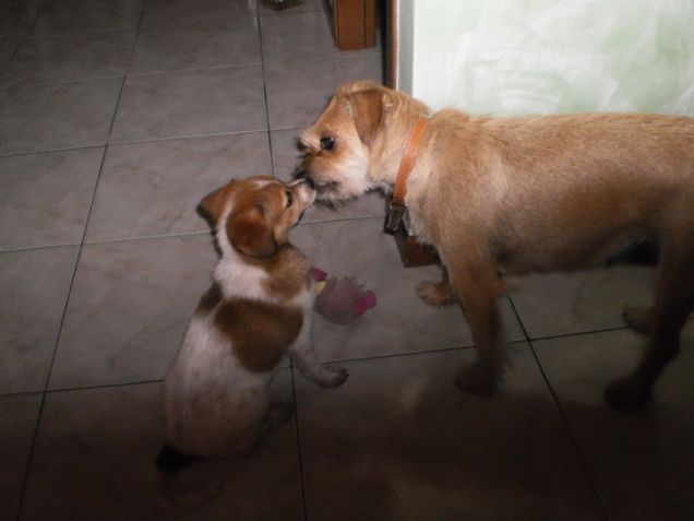 L'amore di mamma e figlia.