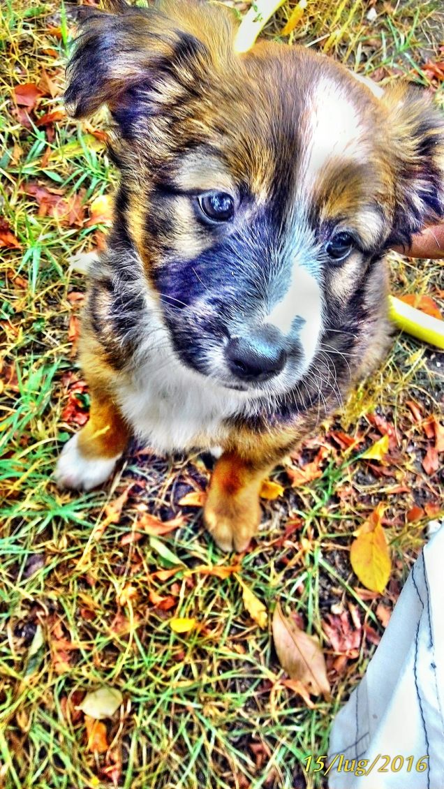 il mio birbante coccolone