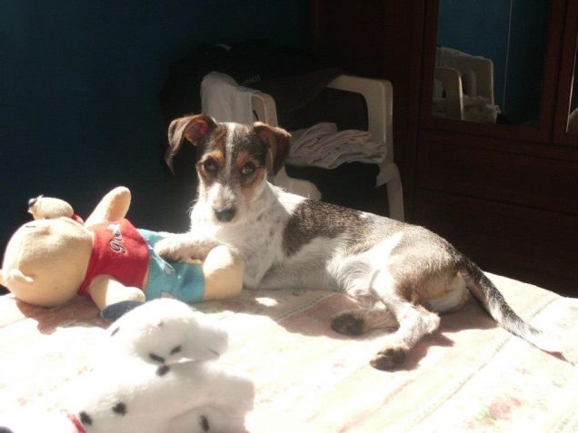 juglius prende il sole 