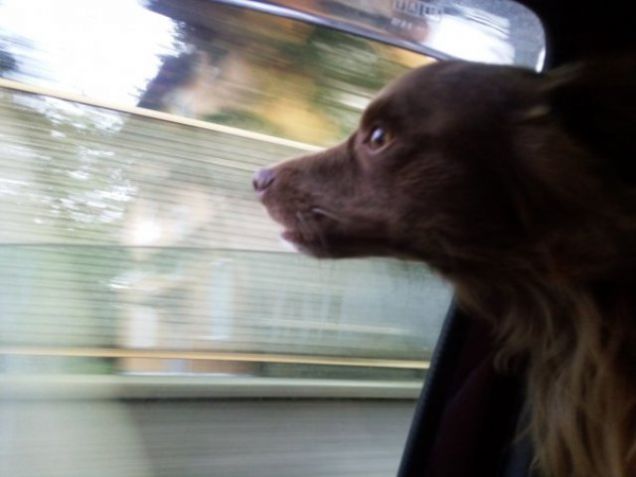 sììììììì viaggiare