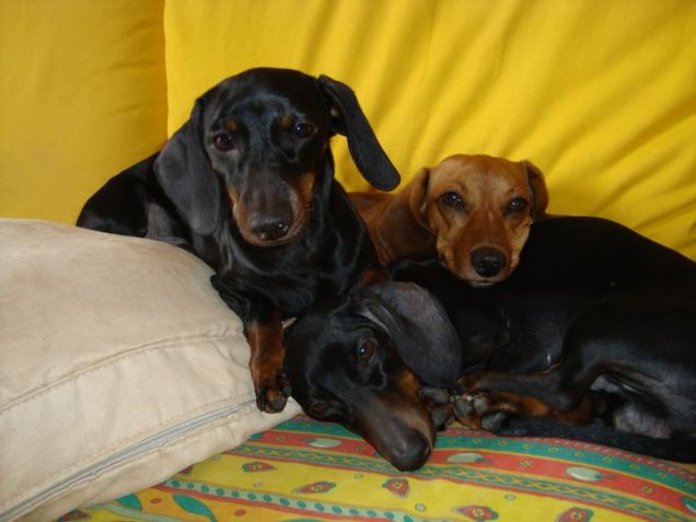 Cerchiamo di resistere al sonno...