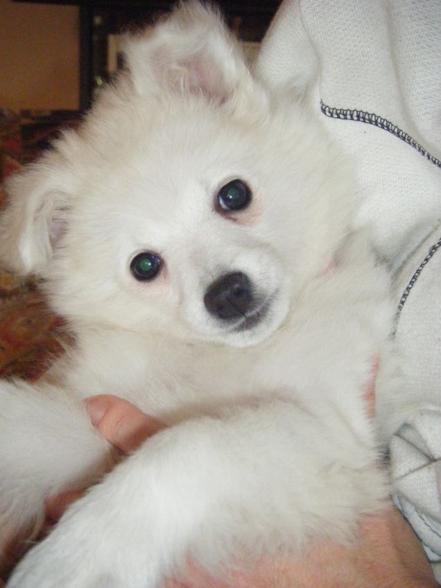 La mia bimba quando era cucciola 