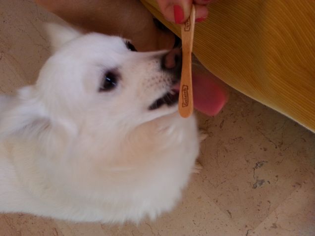 A Trillina piace il gelato! gnam gnam!