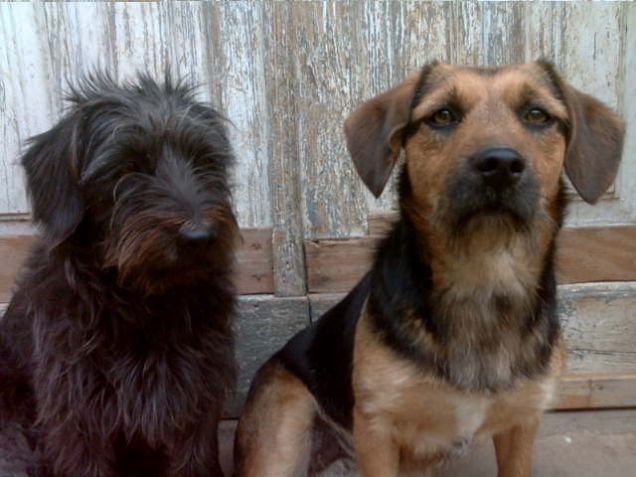 Asia e sua sorella Bea!