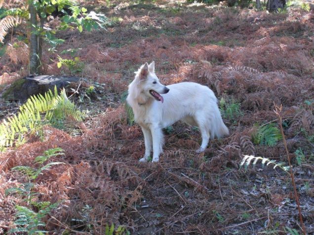 foto scattata in montagna