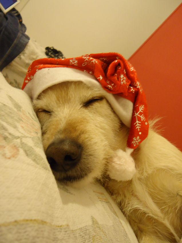 un babbo natale dormiglione