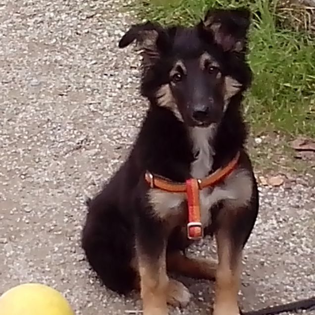 sono giocherellona ma con classe!