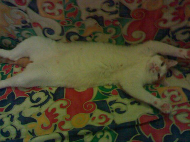 Spaparanzato sul letto...