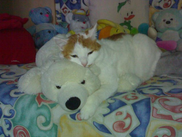 Il mio pupazzo preferito