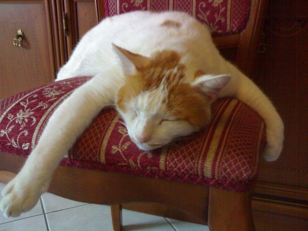 Comoda posizione per la nanna...