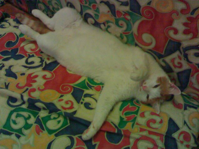 Sono un giocherellone!