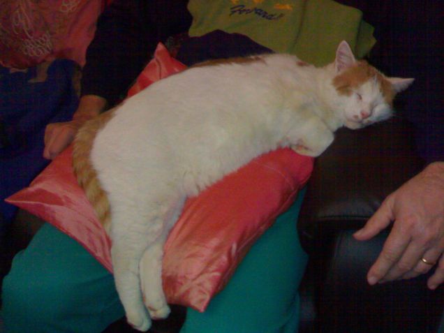 Dormo con il papà..